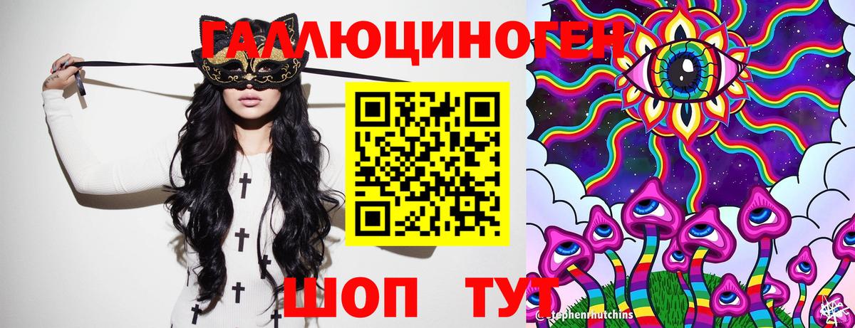 Псилоцибиновые грибы Psilocybine cubensis Славянск-на-Кубани