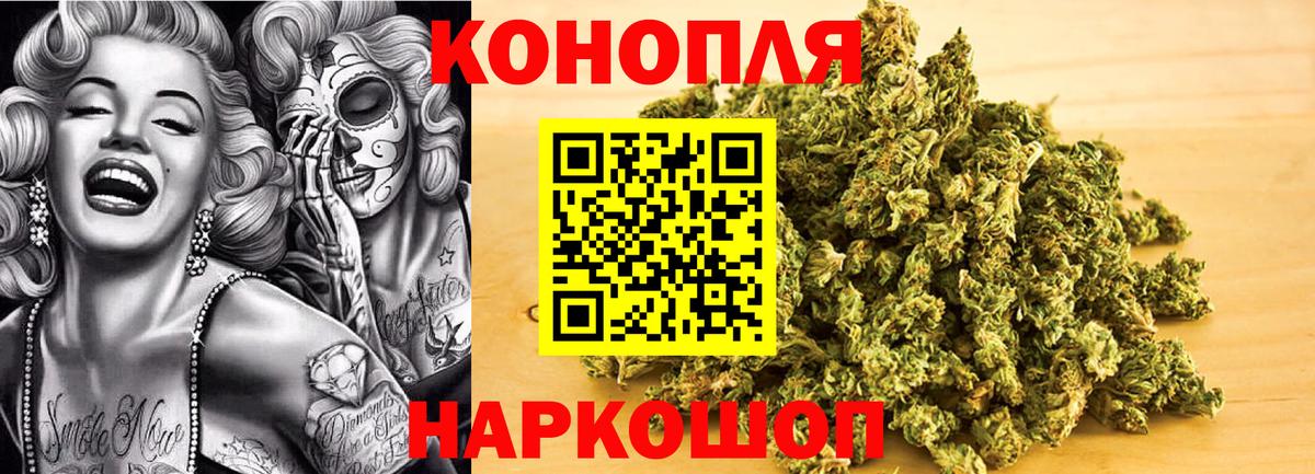 Конопля конопля Славянск-на-Кубани